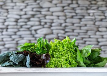 Ranking the Most Nutrient – Dense Leafy Vegetables